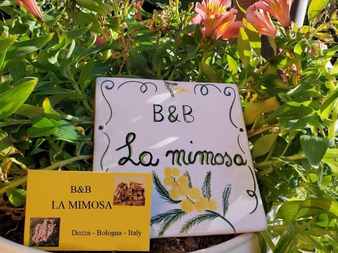 多扎La Mimosa公寓 外观 照片