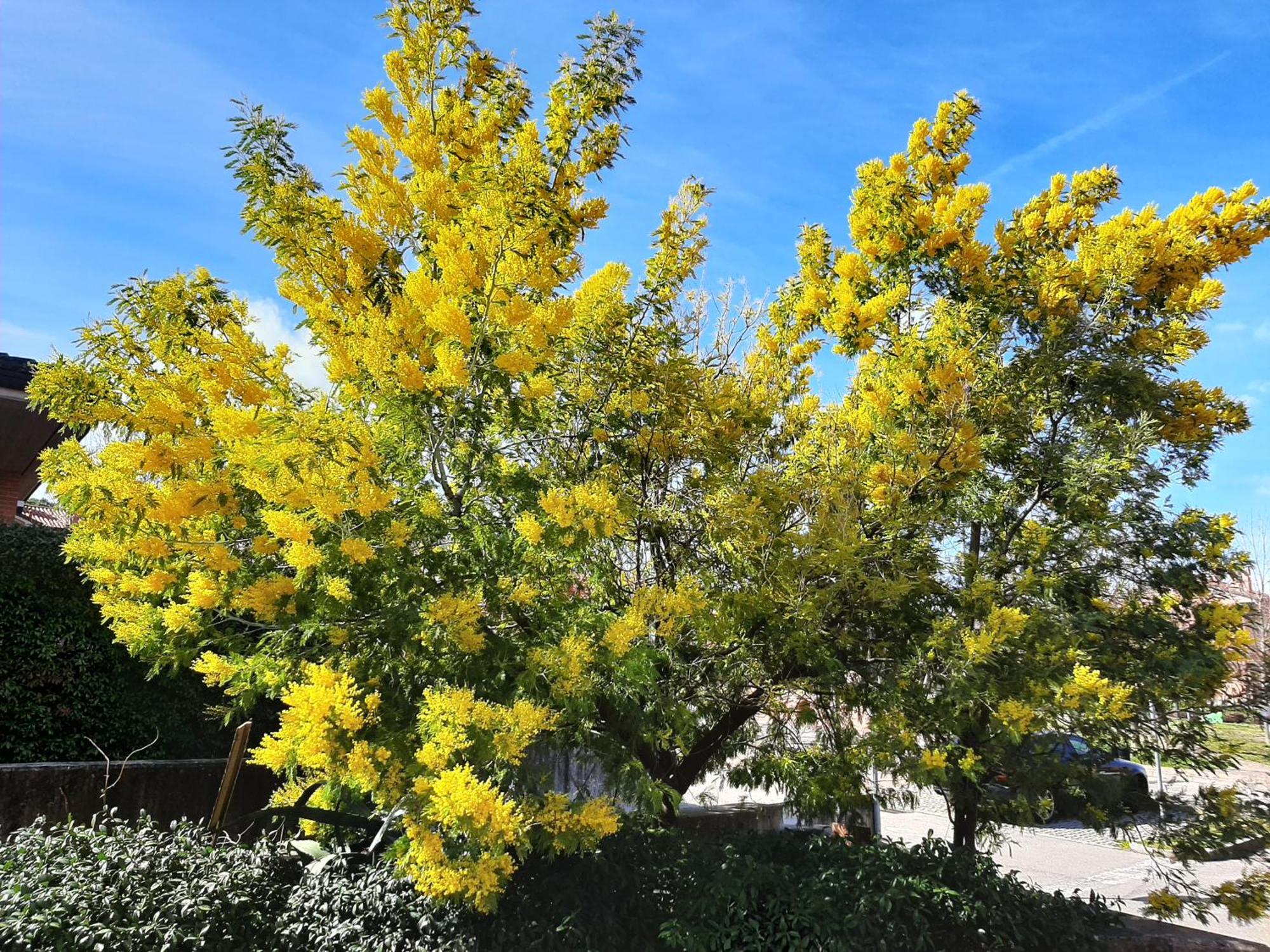 多扎La Mimosa公寓 外观 照片